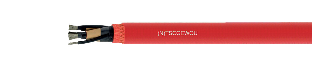 (N)TSCGEWÖU