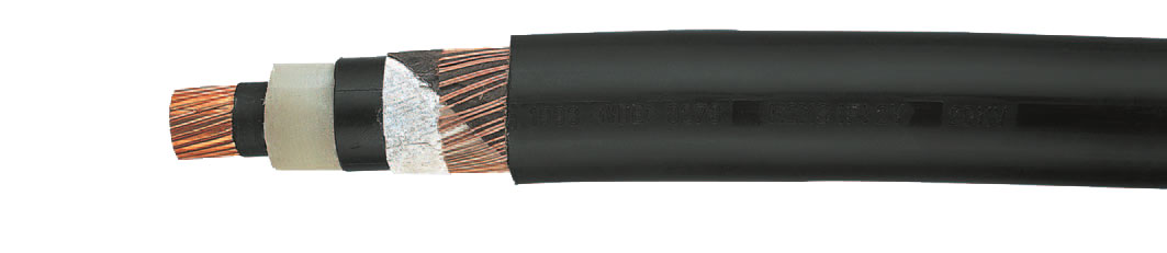 N2XS(FL)2Y