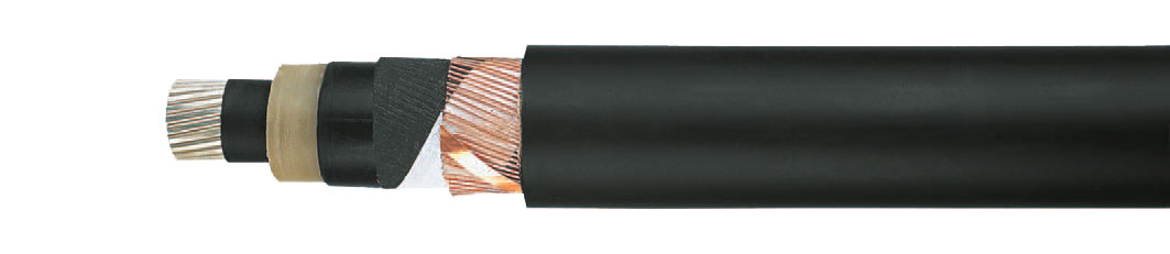 NA2XS(FL)2Y