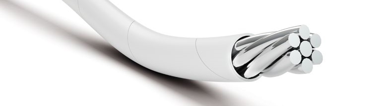 SPEC 55